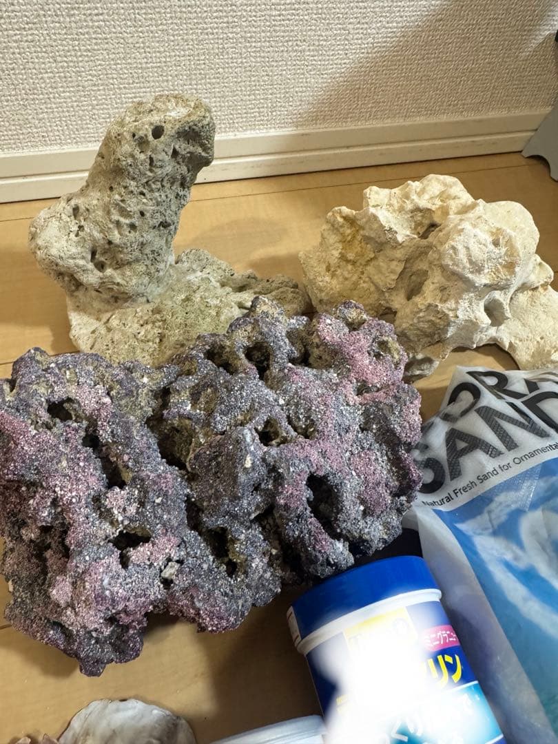 ライブロック　海水魚　カクレクマノミ　飼育　セット