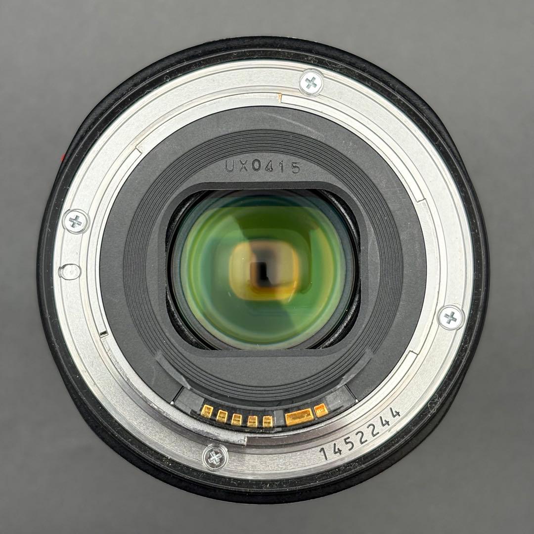 Canon EOS 5D Mark IV + EF 24-105mm 動作品