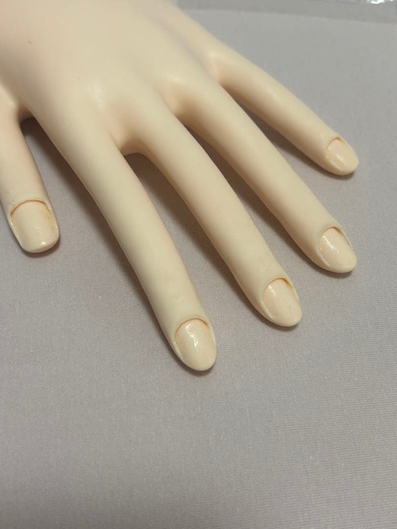 JENC 認定モデルハンド シール 箱付き