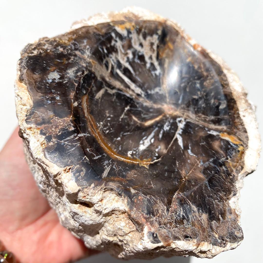 【 珪化木 ペトリファイドウッド ボウル 約690g アクセサリー トレイ 】