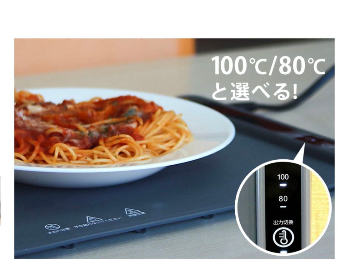 フードウォーマー Warmat 100℃/80℃ SP-100