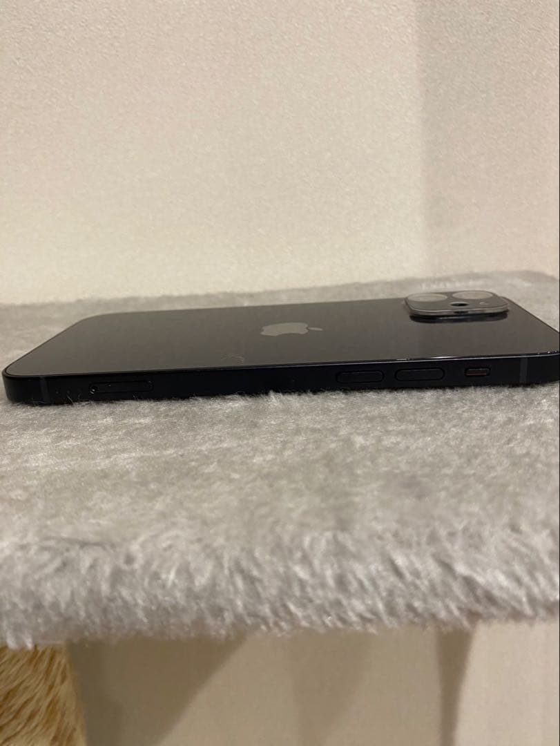 【極美品】iPhone12 256GB 純正96%