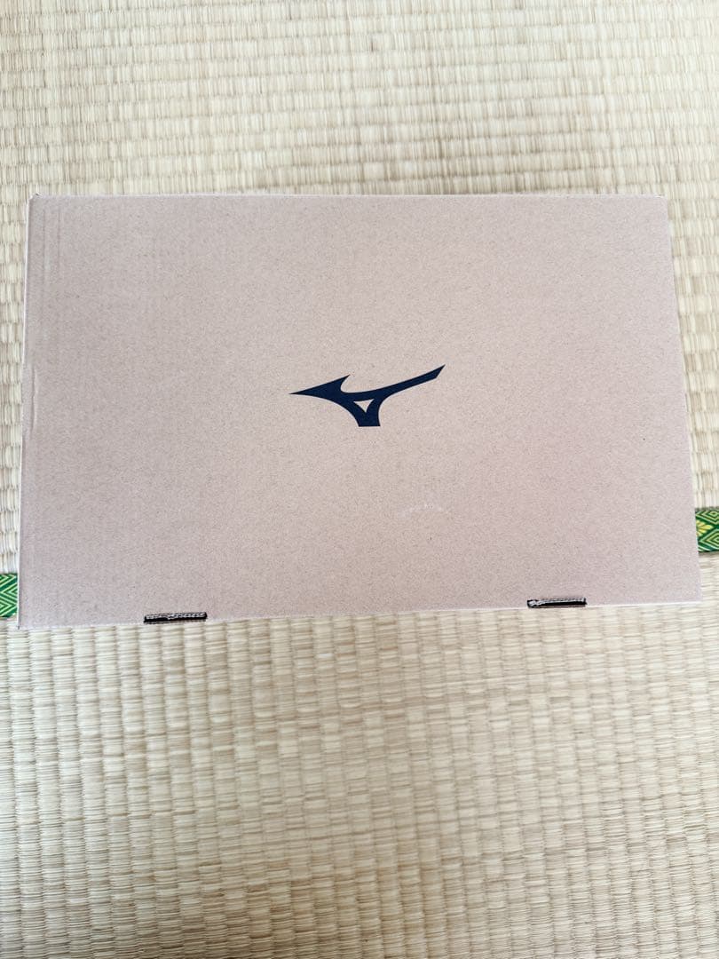 Mizuno BOAシステム安全靴 ベージュ/ホワイト