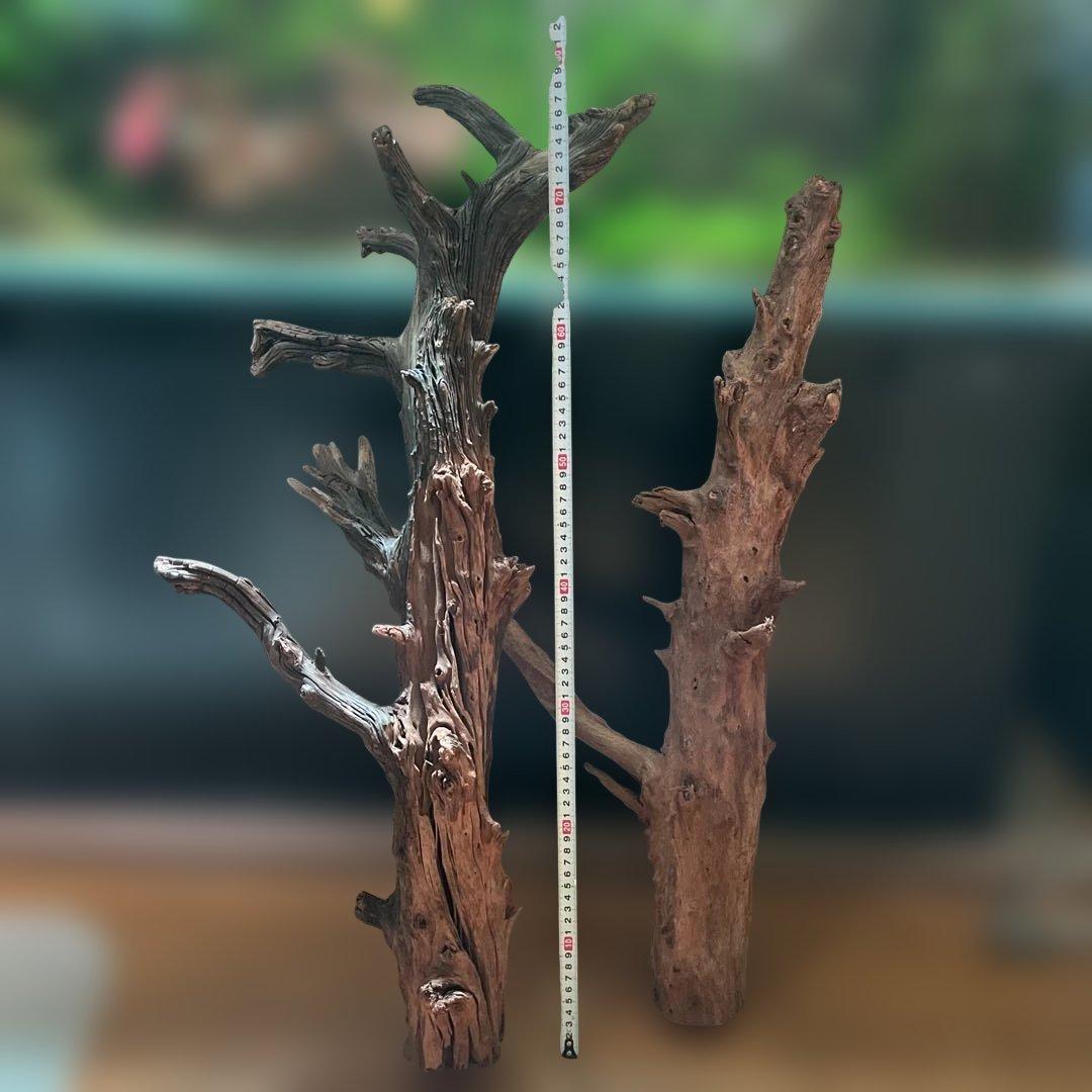 水槽用流木 2本セット