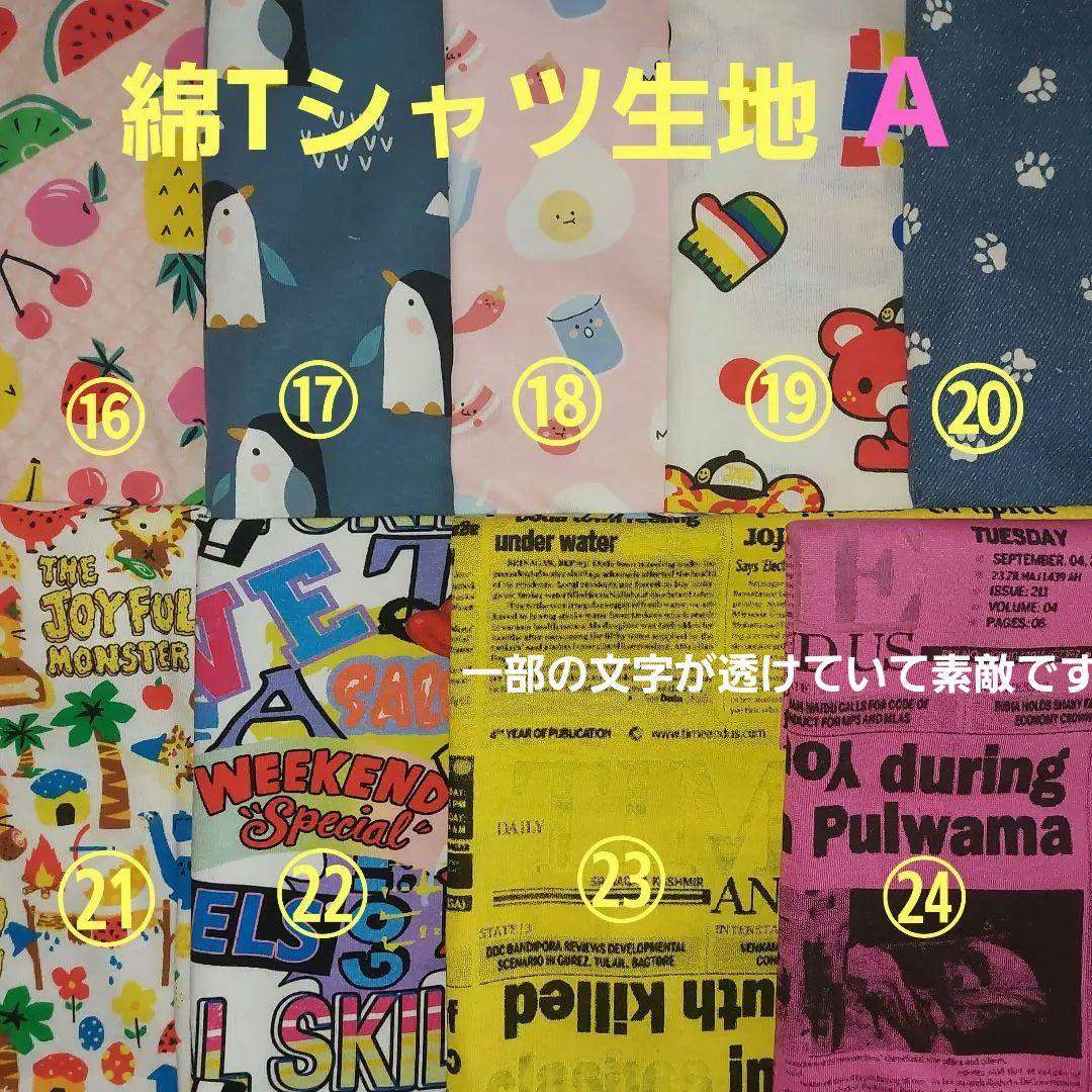 2026春生地見本