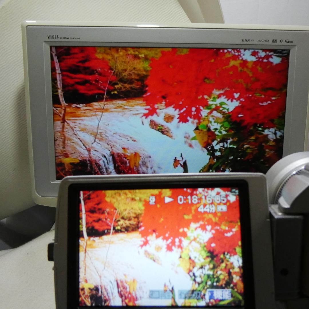 ソニーDCR-TRV50 【動作良好】MiniDV ビデオカメラ　ダビングに最適
