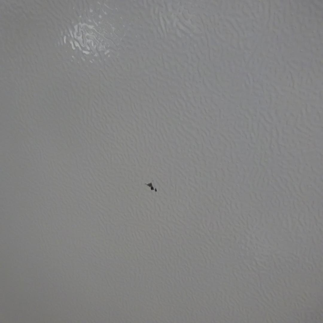 美品：e angle 冷蔵庫「ANG-RE170-C1」