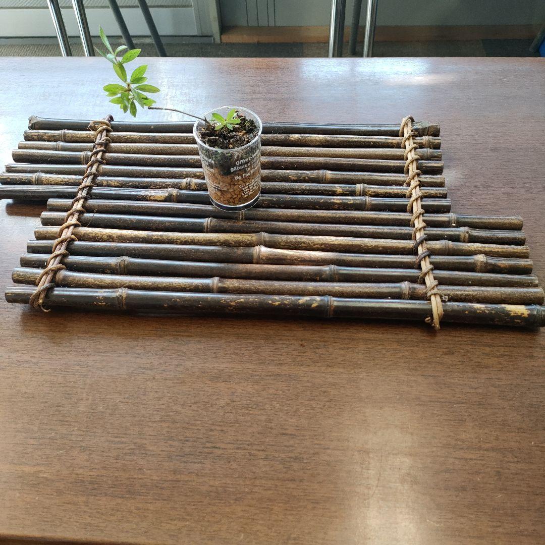 黒竹と藤づるで作った花台5つセット