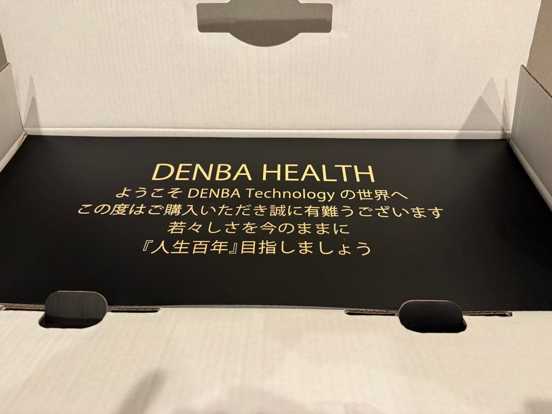 DENB health スタンダード、チャージ2台セット