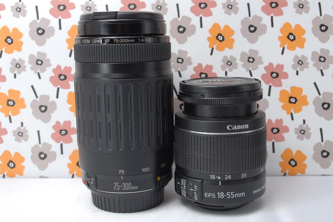 ❤Canon Kiss X5❤ショット数388回❤超望遠レンズセット❤超美品❤