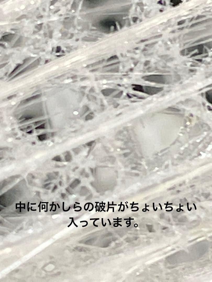偕老同穴　標本