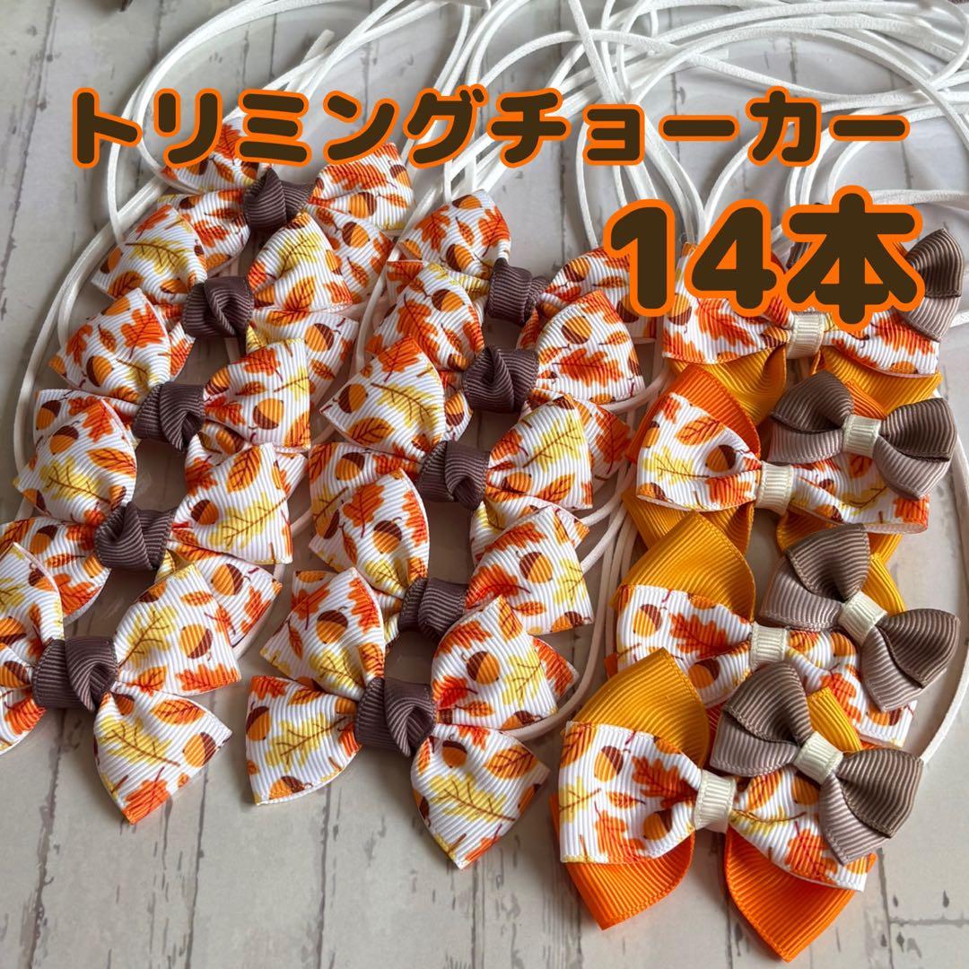 ①『300』✩.*˚他秋色 ハンドメイド トリミングチョーカー 200本