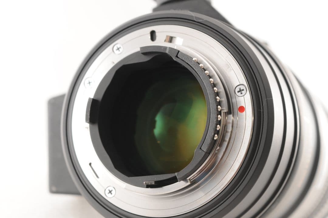 SIGMA APO 70-200mm F2.8 DG OS HSM 望遠ズーム