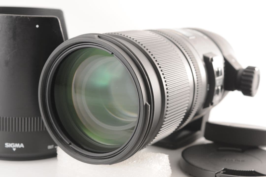 SIGMA APO 70-200mm F2.8 DG OS HSM 望遠ズーム