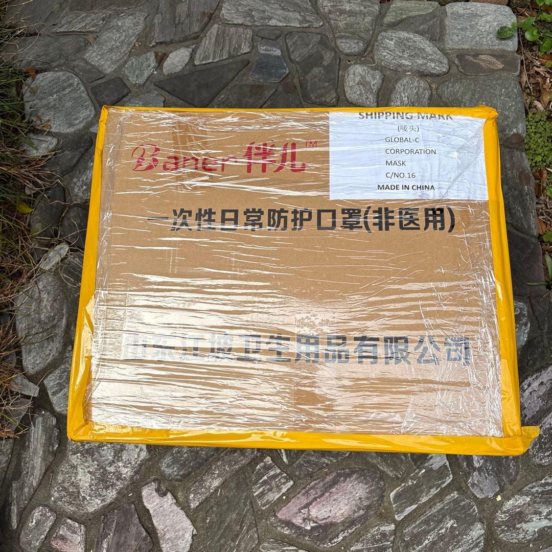 使い捨てマスク 50枚入り 17x9.5cm 清掃用　50箱　2500枚