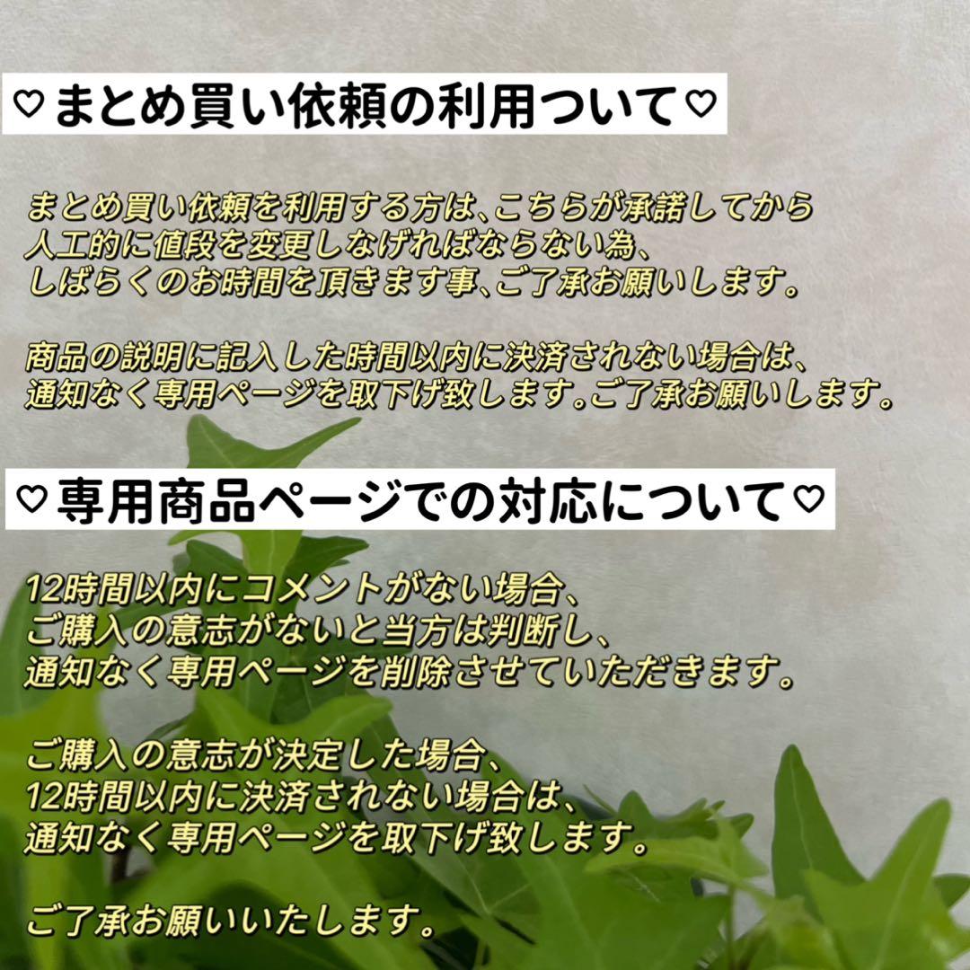 バロックパールネックレス　ハートパール　花びらケシパール　一連パールネックレス