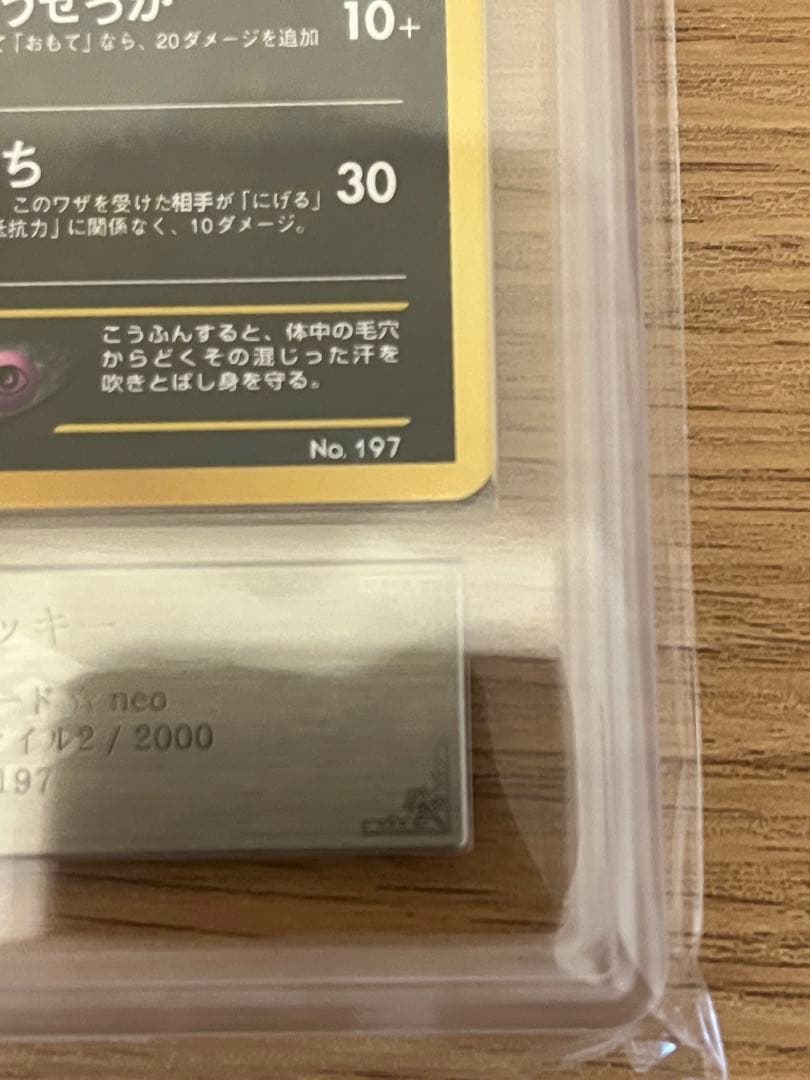 【ARS9】ブラッキー　旧裏 プレミアムファイル