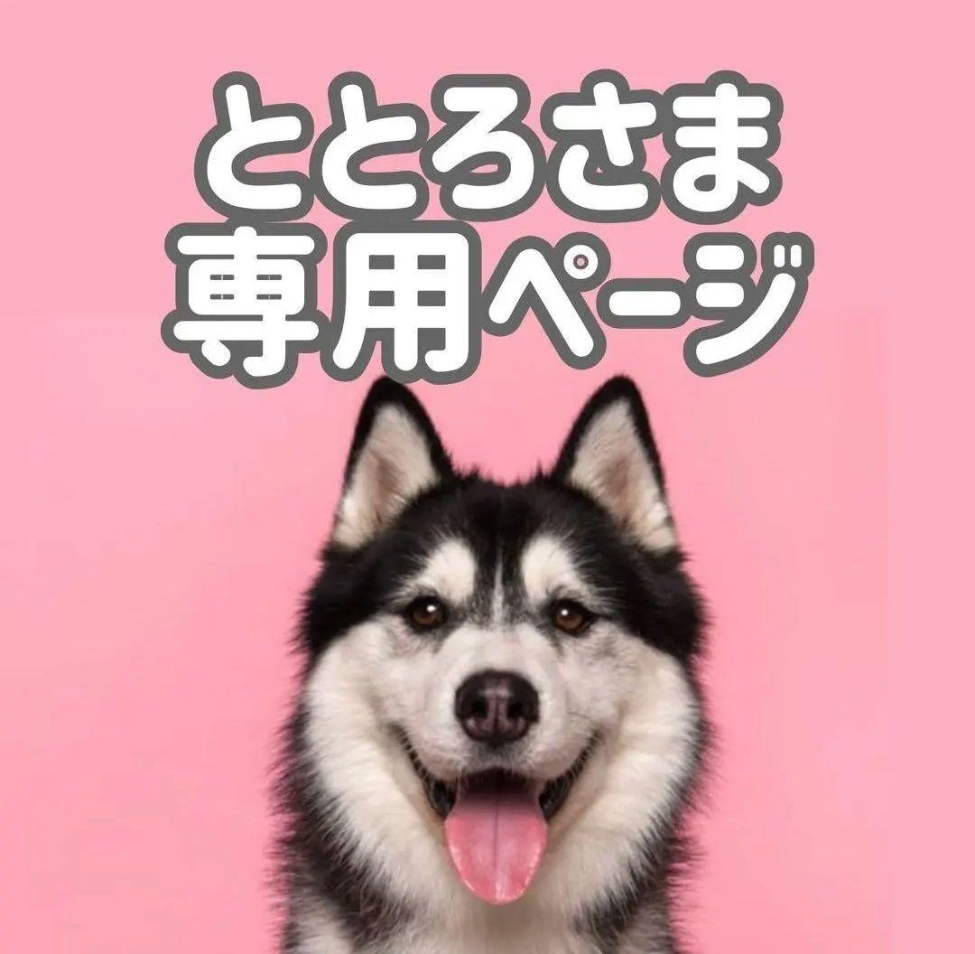 Aラム15●ととろページ●◯