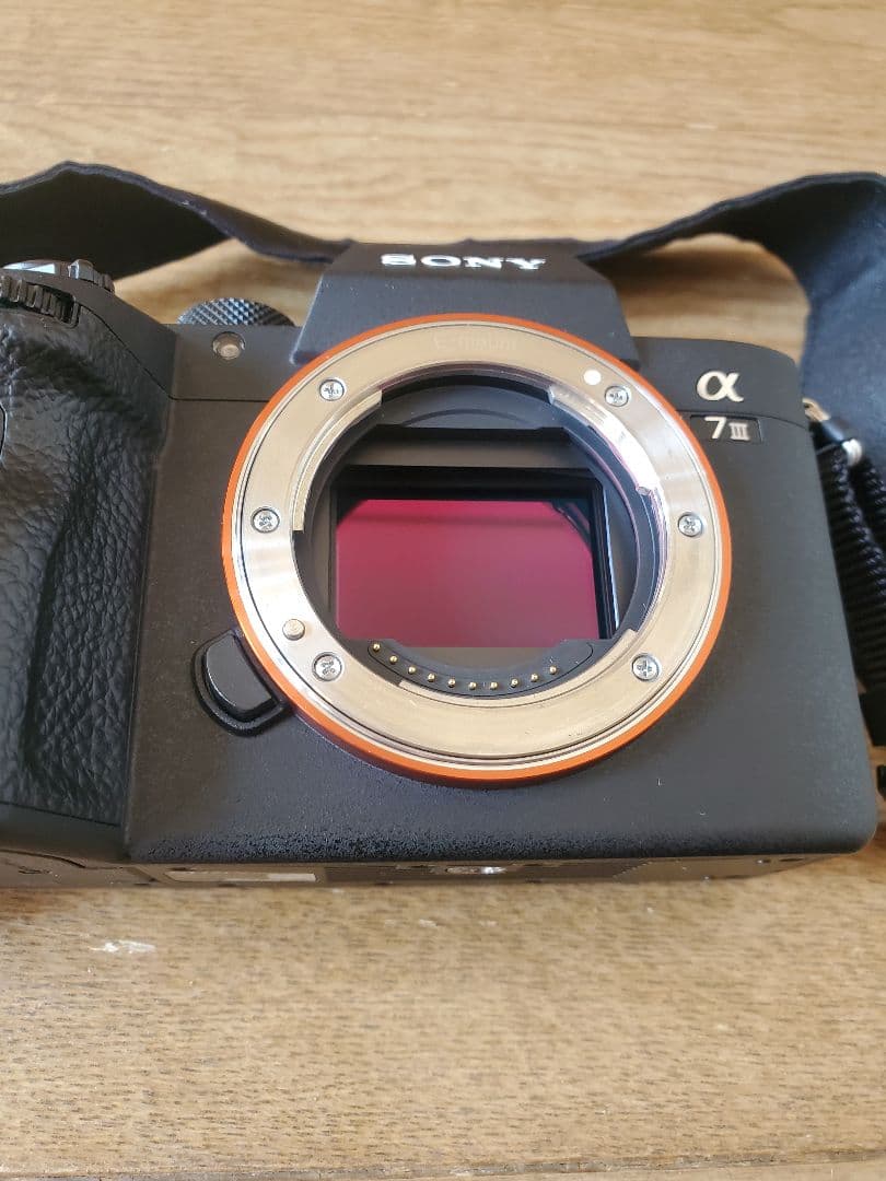 海外版SONY α7 III （日本語なし）