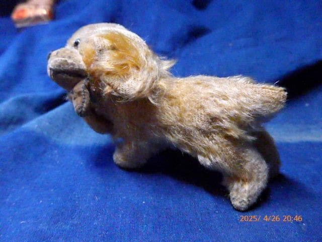 50年代のシュタイフの犬のぬいぐるみです。