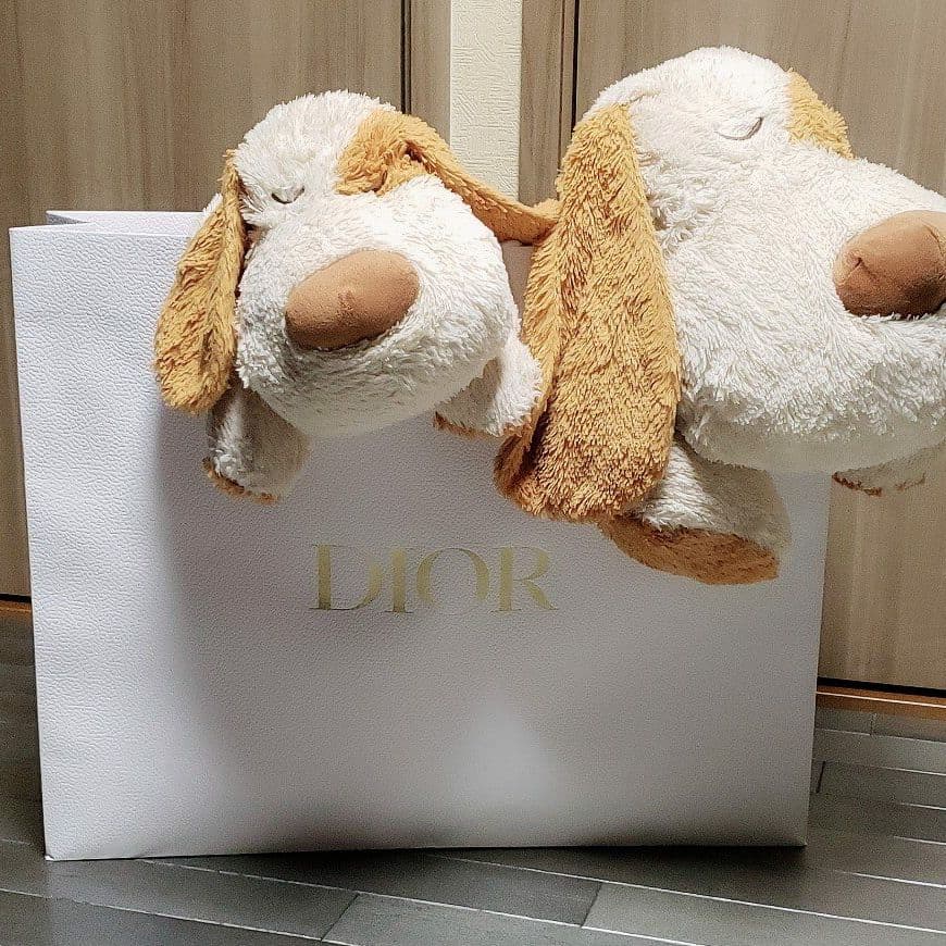 Dior ディオール ショップ袋(特大size)未使用５枚セット