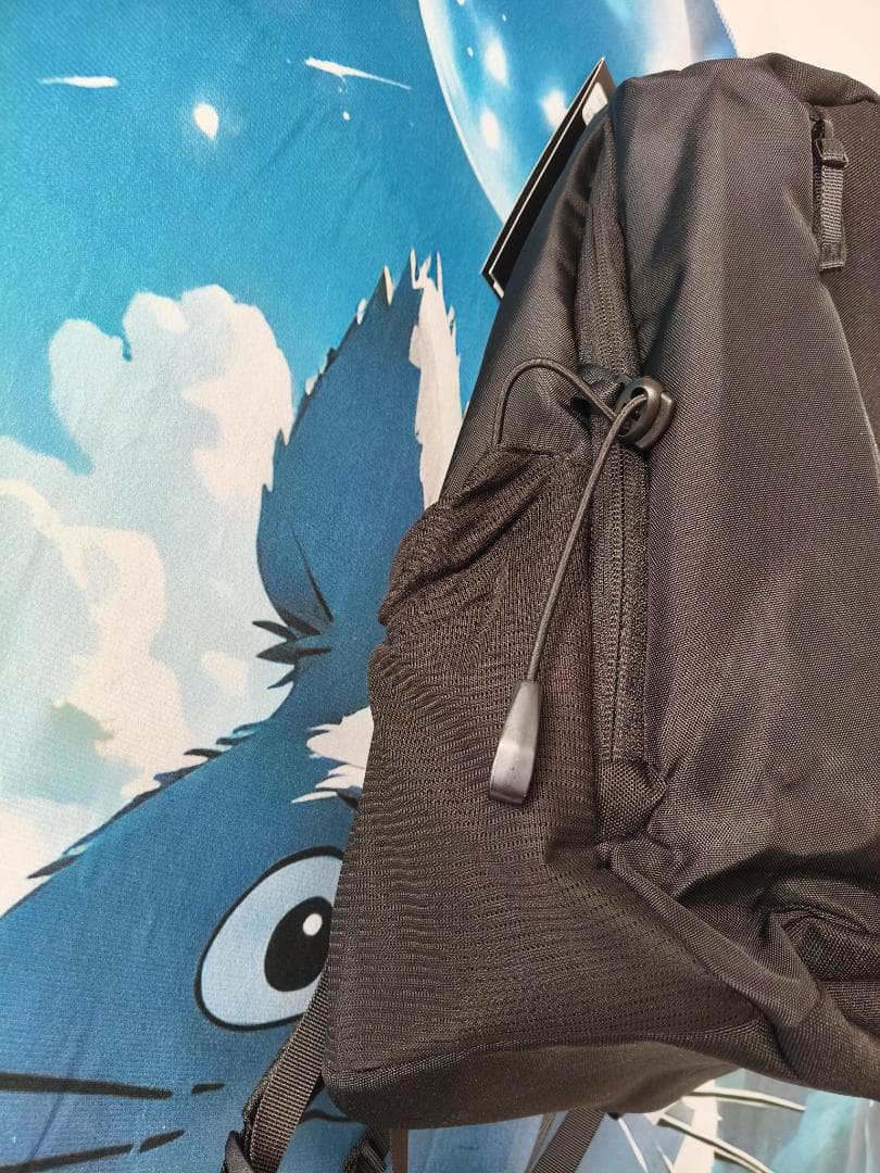 【新品】 Arc 'teryx（アークテリクス） マンティス 26L ブラック