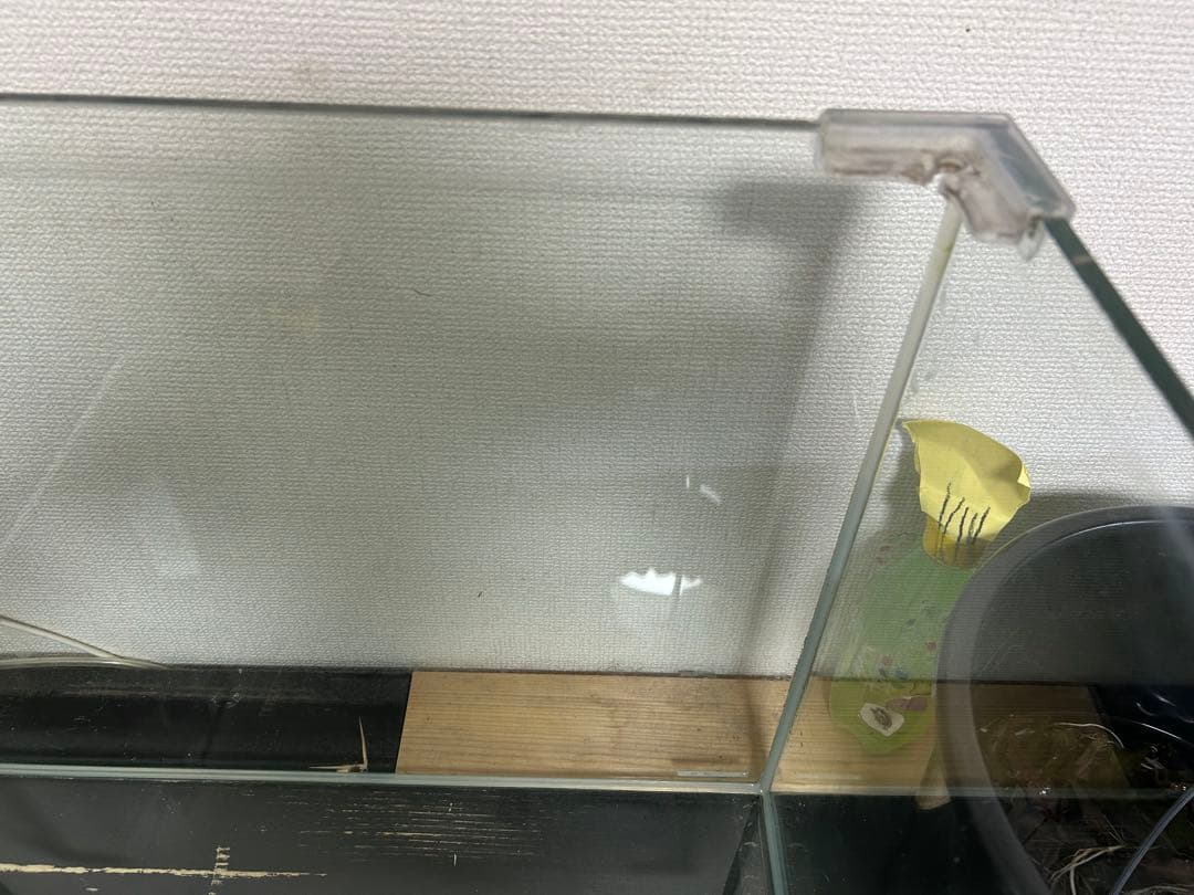ガラス水槽 レグラス60✖️45✖️45 アクロトライアングルLEDなどセット★