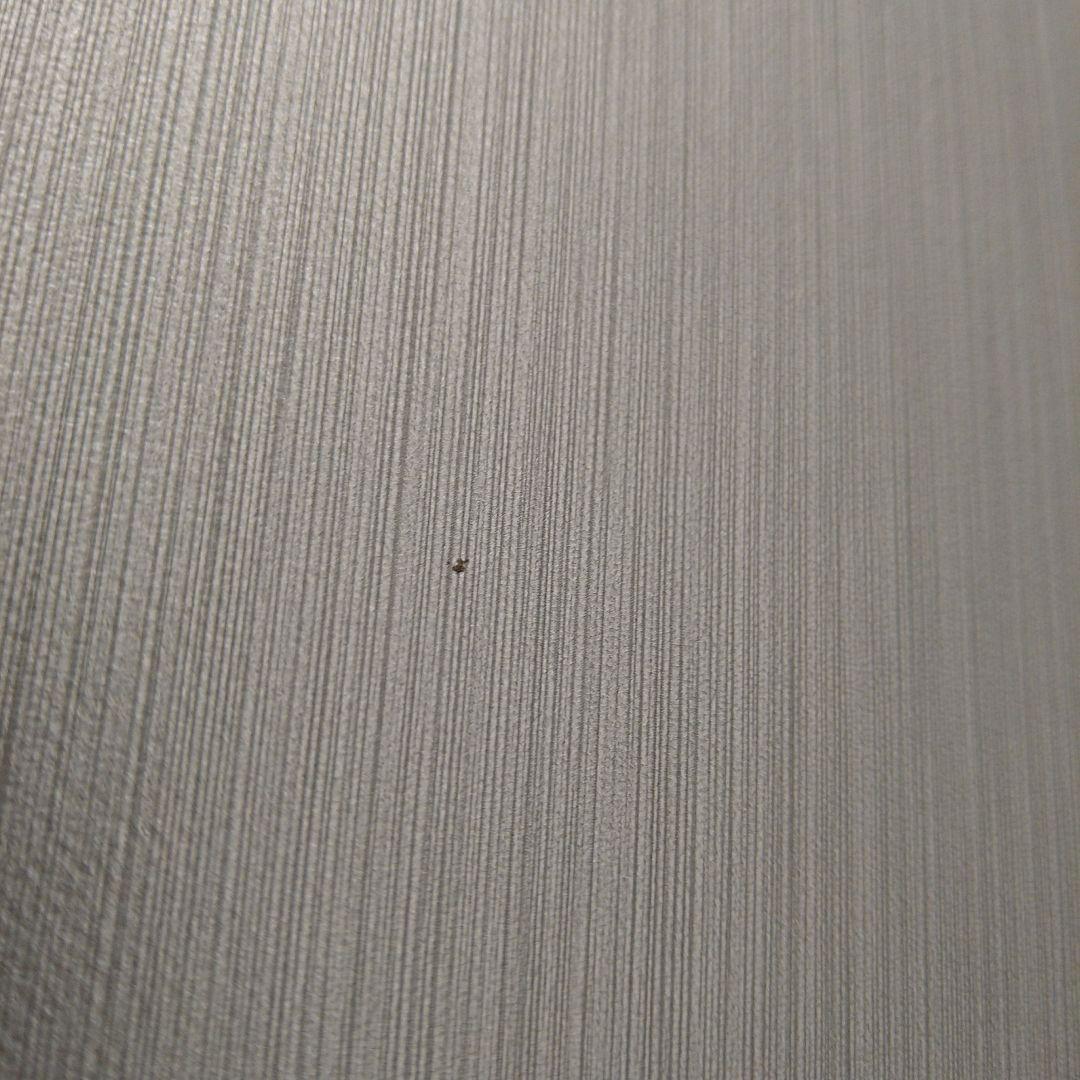 サムソナイト「EVOA/エヴォア」SPINNER69cm /シルバー