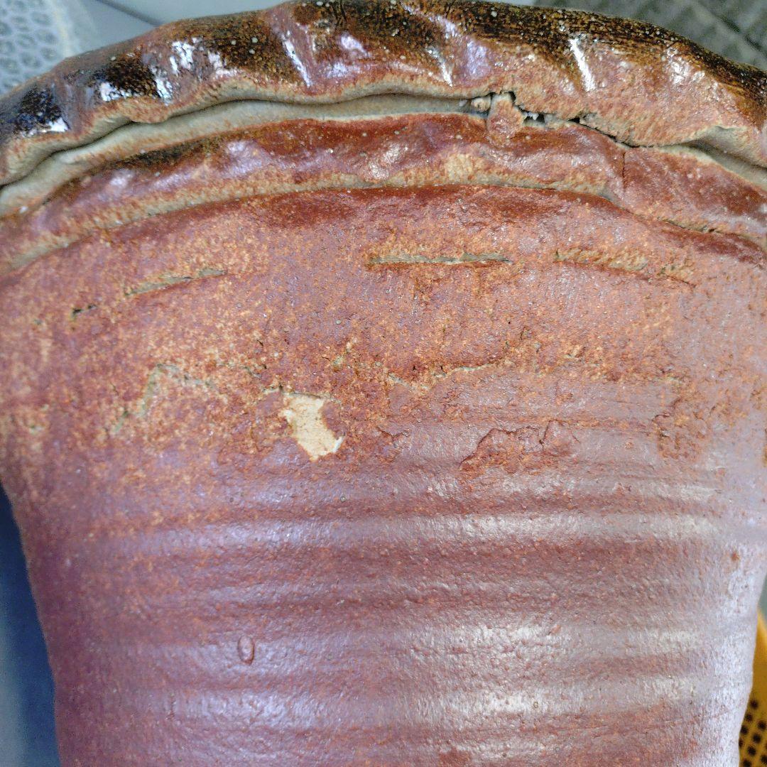 信楽焼　手作りメダカ鉢　睡蓮鉢　蛙付きめだか鉢