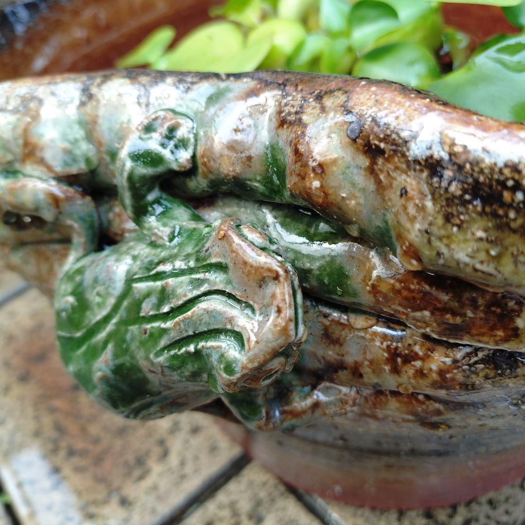 信楽焼　手作りメダカ鉢　睡蓮鉢　蛙付きめだか鉢