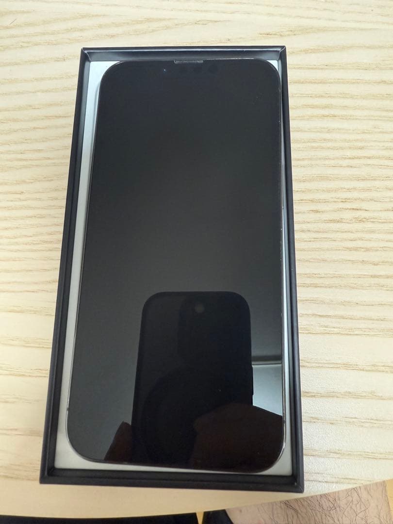 Apple iPhone 13 Pro グラファイト 256GB 本体