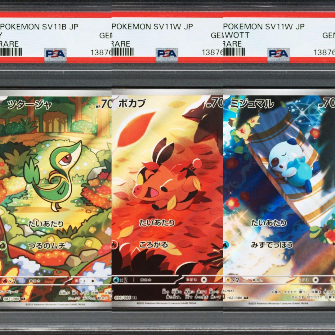【PSA10】ポケモンカード　ツタージャ　ポカブ　ミジュマル　AR 3連番 ②