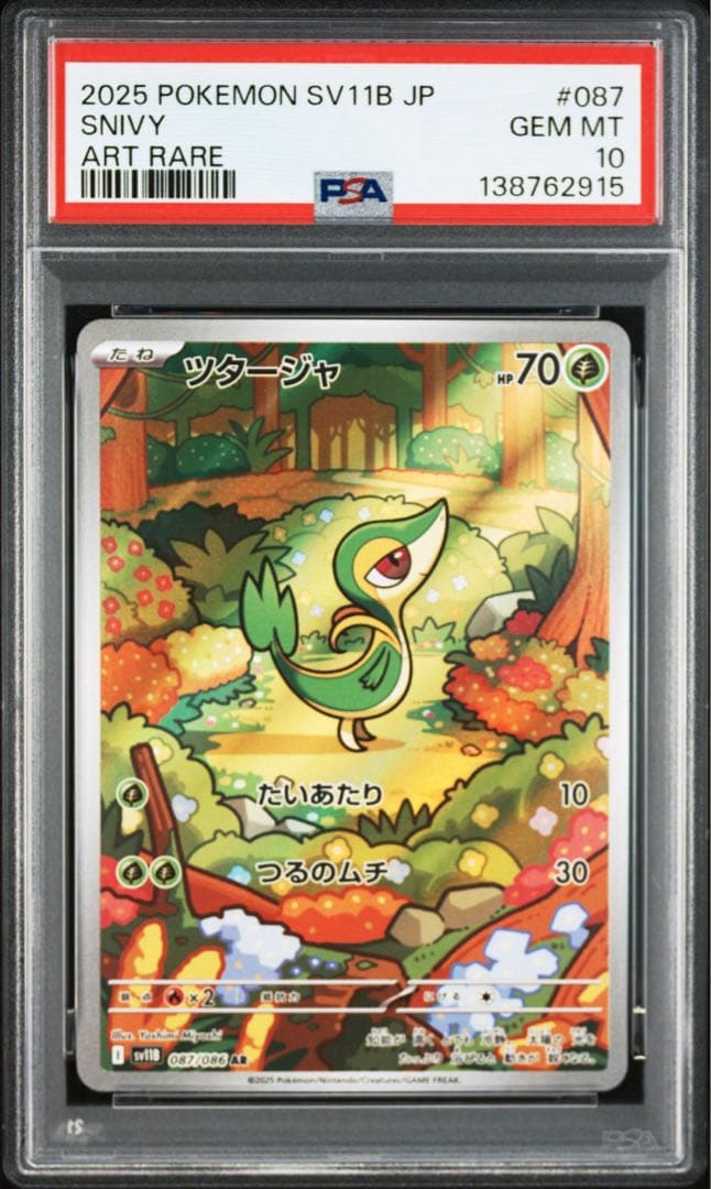 【PSA10】ポケモンカード　ツタージャ　ポカブ　ミジュマル　AR 3連番 ②