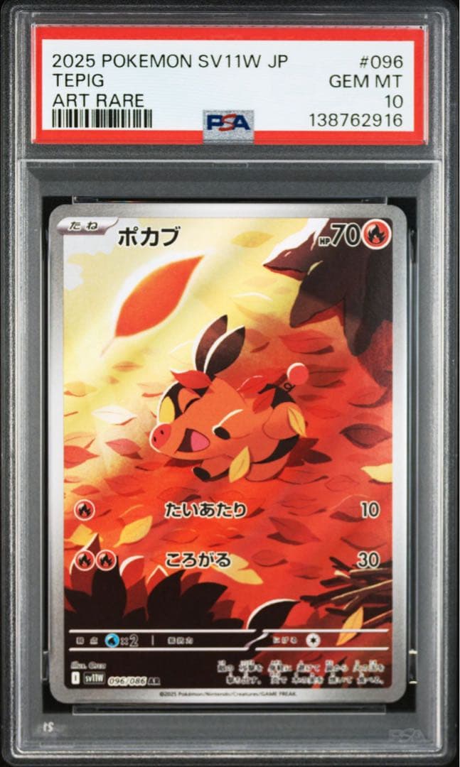【PSA10】ポケモンカード　ツタージャ　ポカブ　ミジュマル　AR 3連番 ②