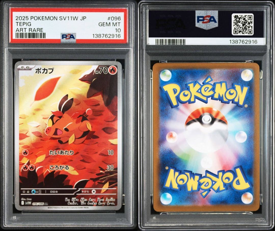【PSA10】ポケモンカード　ツタージャ　ポカブ　ミジュマル　AR 3連番 ②