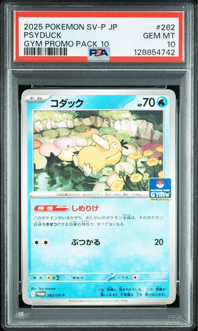 【PSA10】 コダック ジムプロモ しめりけ 262/SV-P 2連番