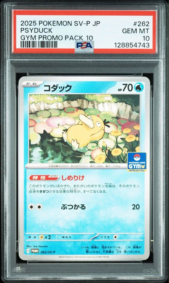 【PSA10】 コダック ジムプロモ しめりけ 262/SV-P 2連番