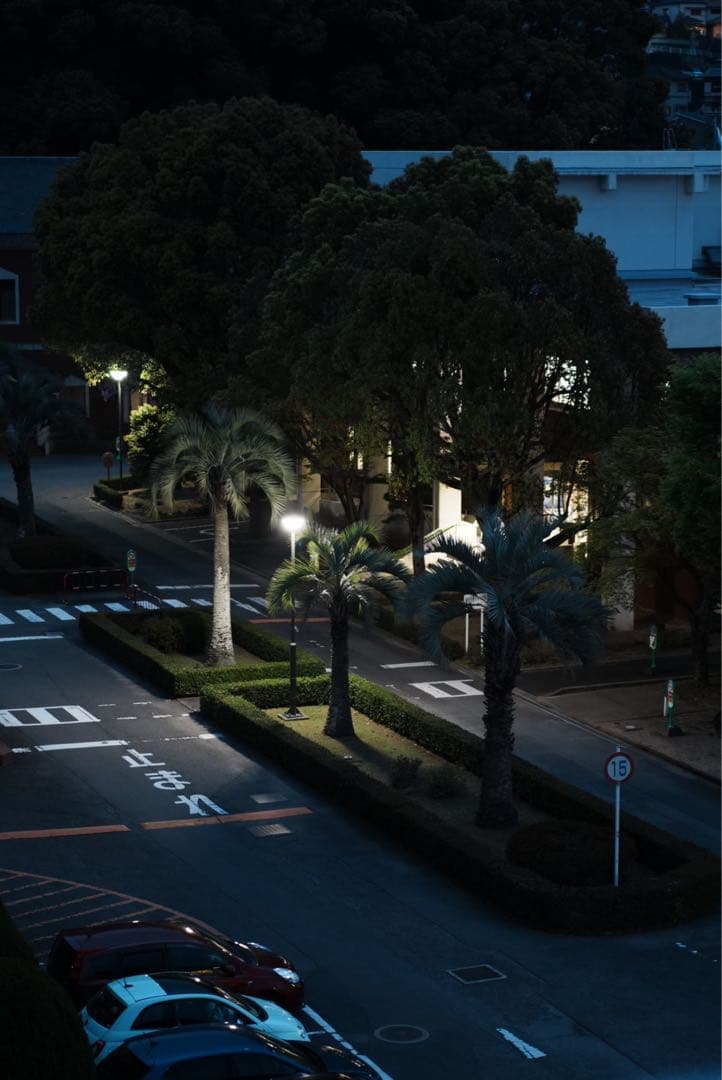 SONY E 50 F1.8 OSS レンズ 1.8/50