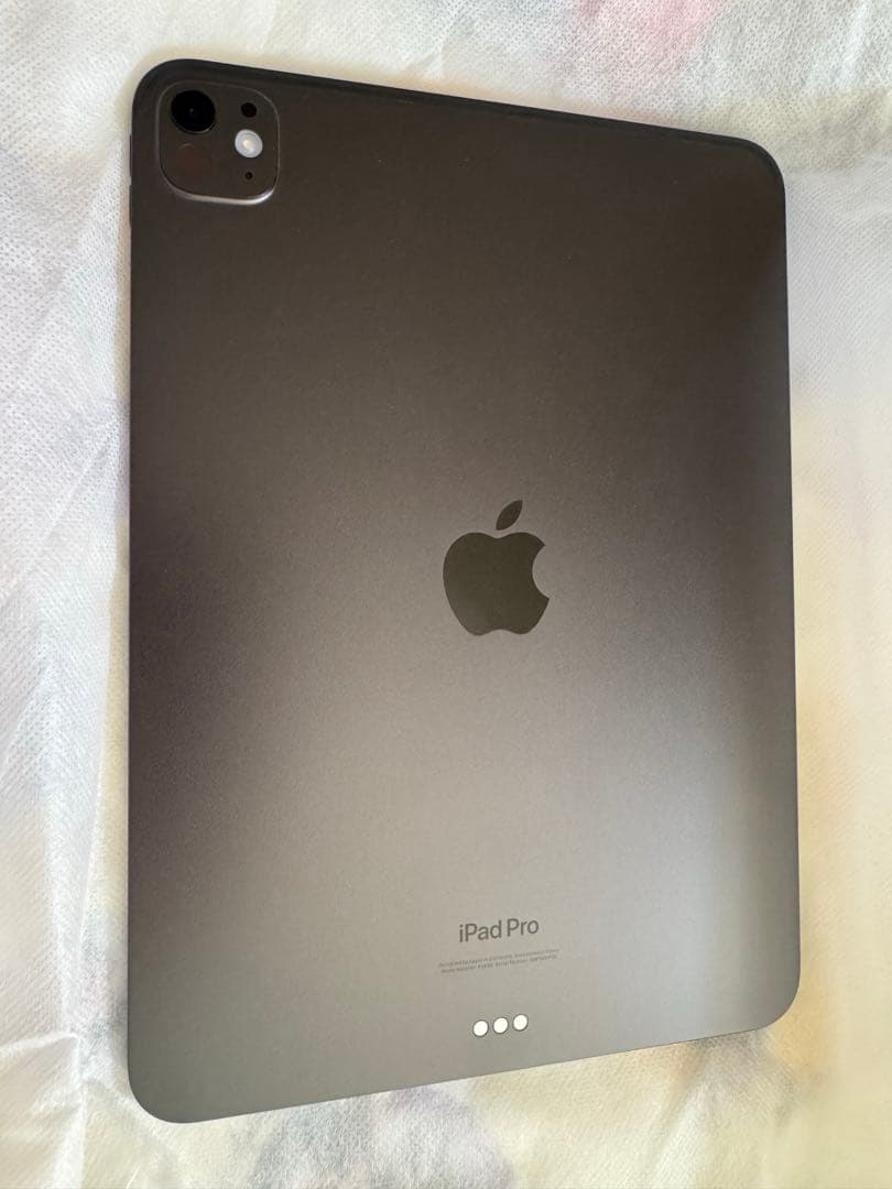iPad本体 iPad Pro M4 512GB Wi-Fi