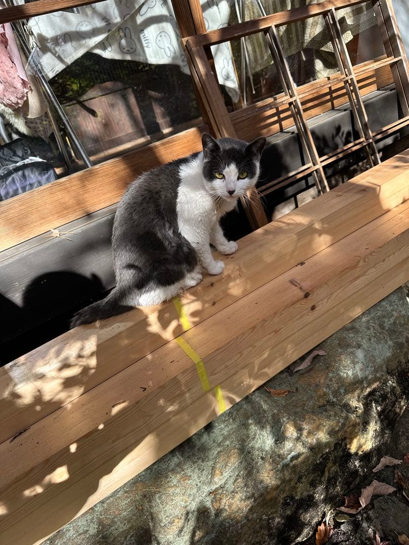 オーダーメイド用確認写真