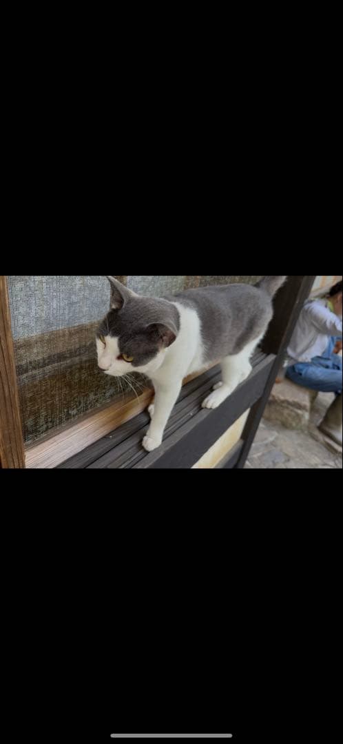 オーダーメイド用確認写真