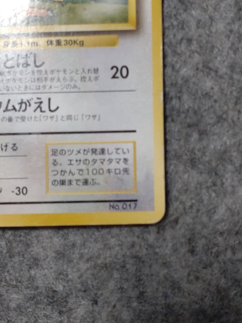 ピジョン 第1弾拡張パック マークなし