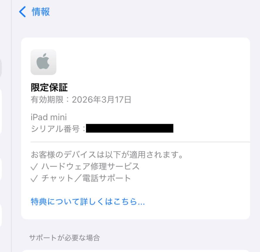 iPad mini7 A17pro Wi-Fiモデル 128G ブルー