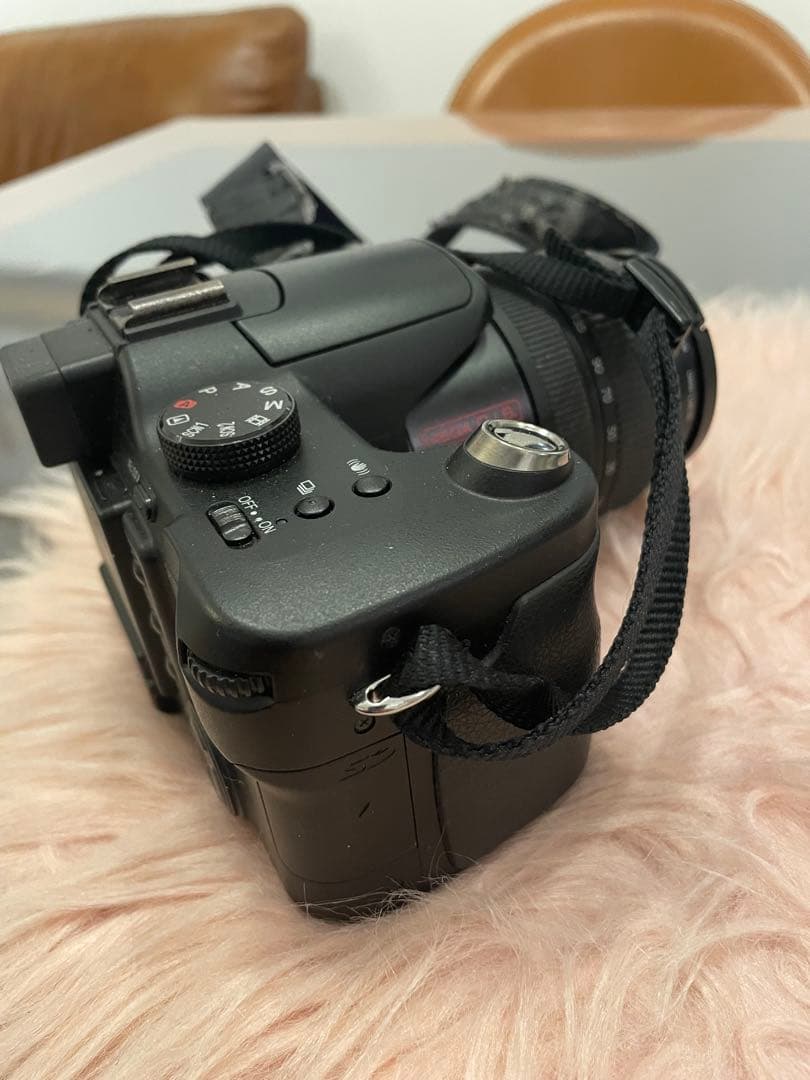 LUMIX DMC-FZ30 12倍ズーム 動作品 付属あり