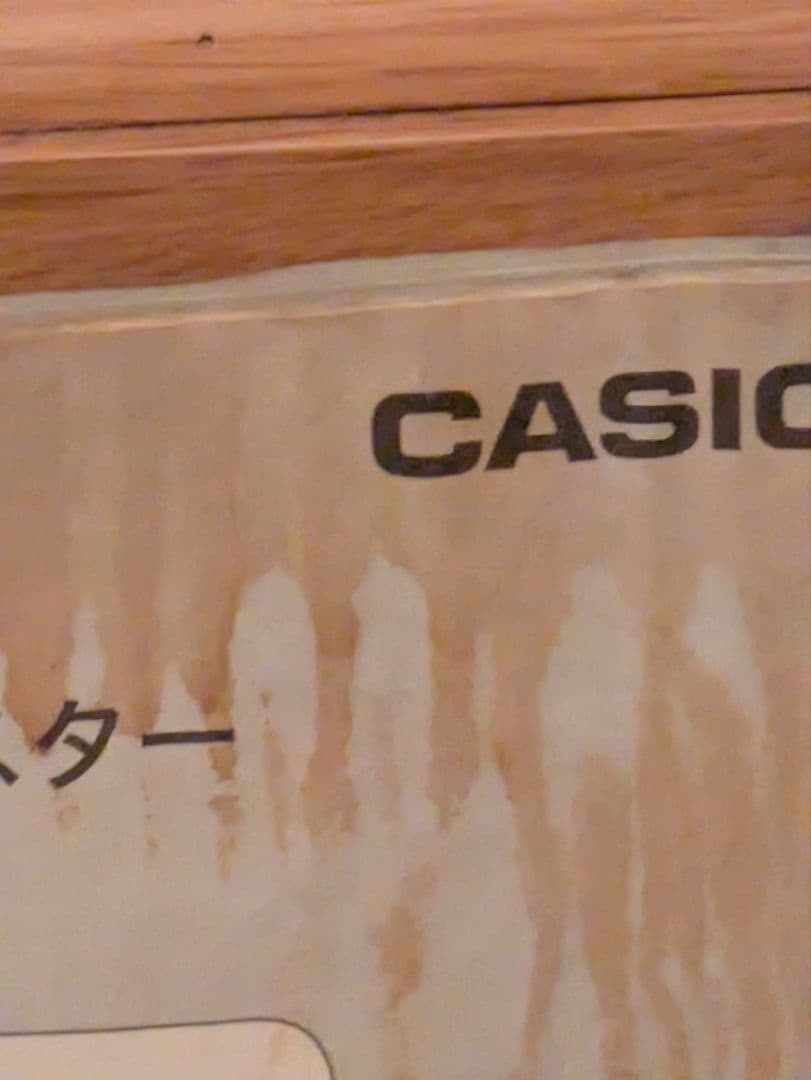 SE-S1O　CASIO
