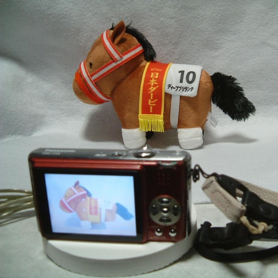 【動作品】Panasonic LUMIX DMC-FX9 レッド