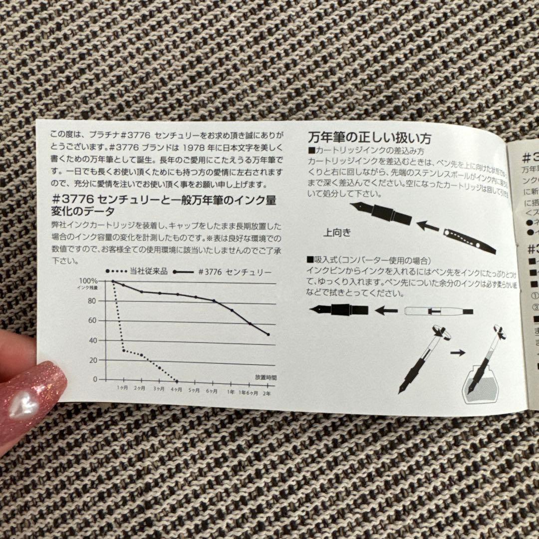 PLATINUM #3776 CENTURY 万年筆