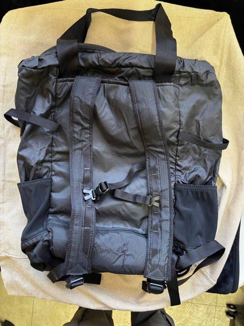 パタゴニア Lightweight Travel Tote Pack 22L
