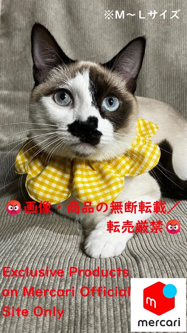 愛ちゃん様オーダー品／首輪式ザビエル10点セット