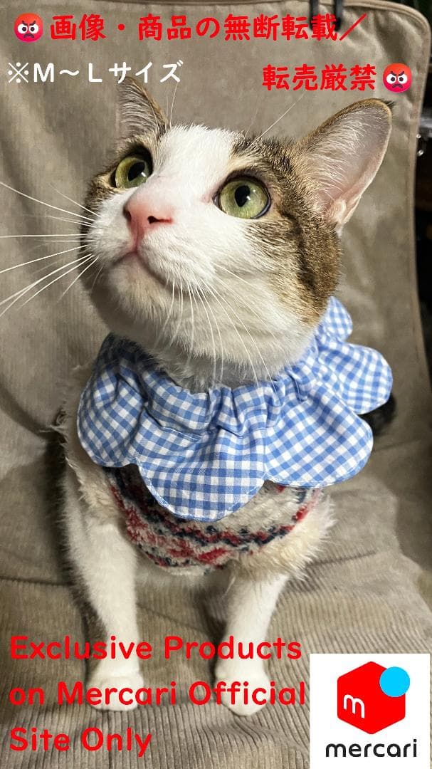 愛ちゃん様オーダー品／首輪式ザビエル10点セット